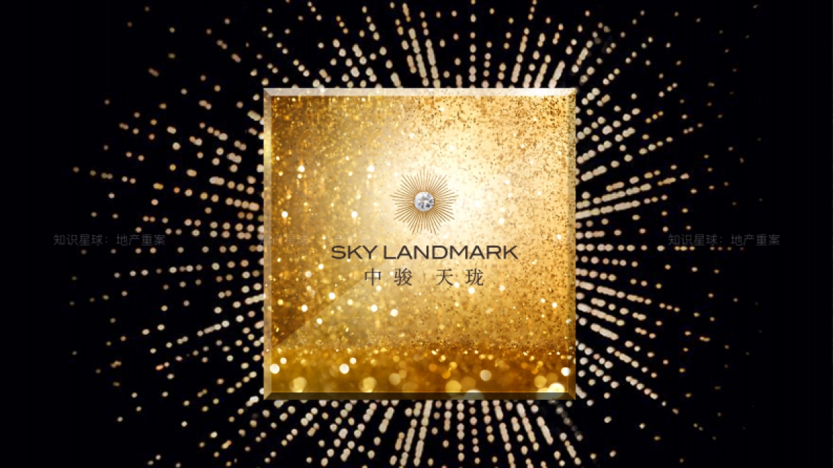 中骏天系高端项目视觉提报_第5页