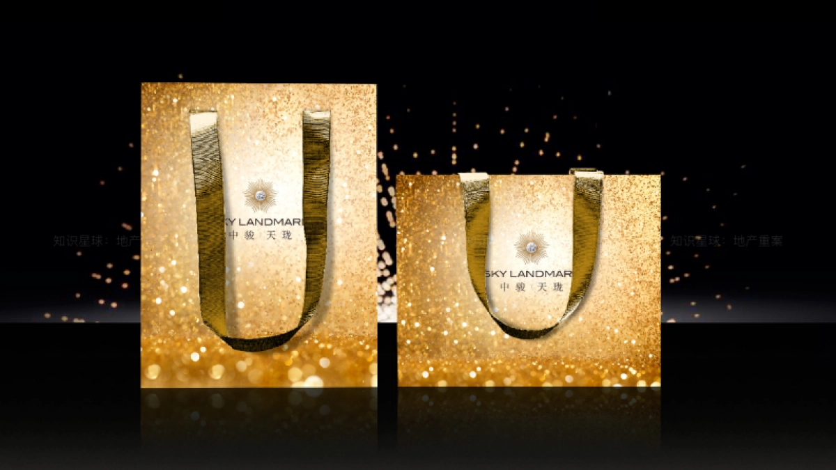 中骏天系高端项目视觉提报_第7页