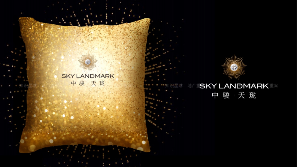 中骏天系高端项目视觉提报_第8页