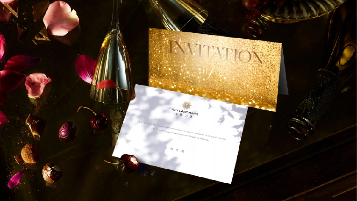 中骏天系高端项目视觉提报_第9页