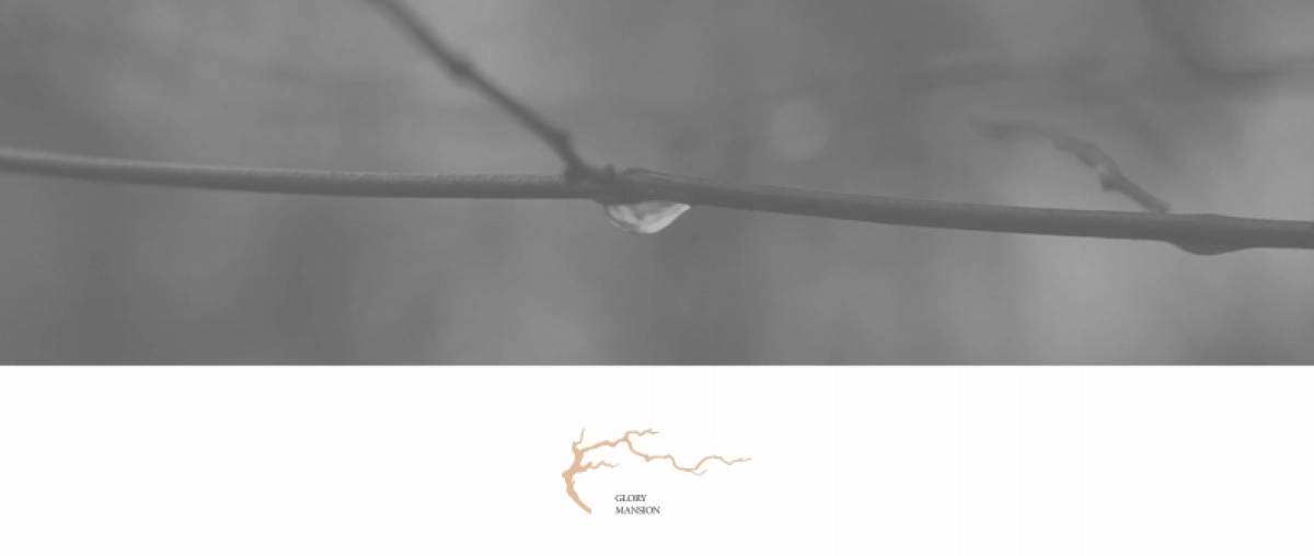 中式-臻和府视觉提报_第4页