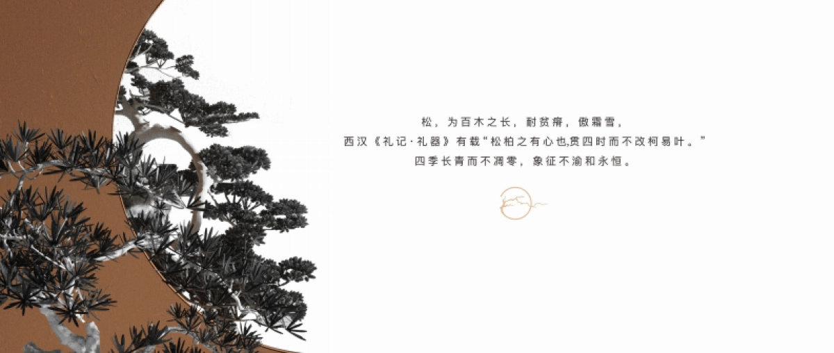 中式-臻和府视觉提报_第6页