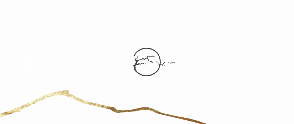 中式-臻和府视觉提报_第9页