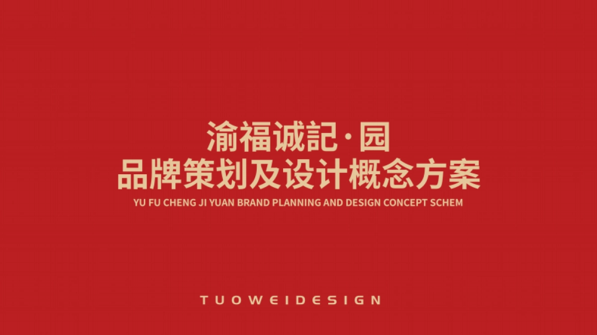 重庆菜策划及设计概念方案_第1页