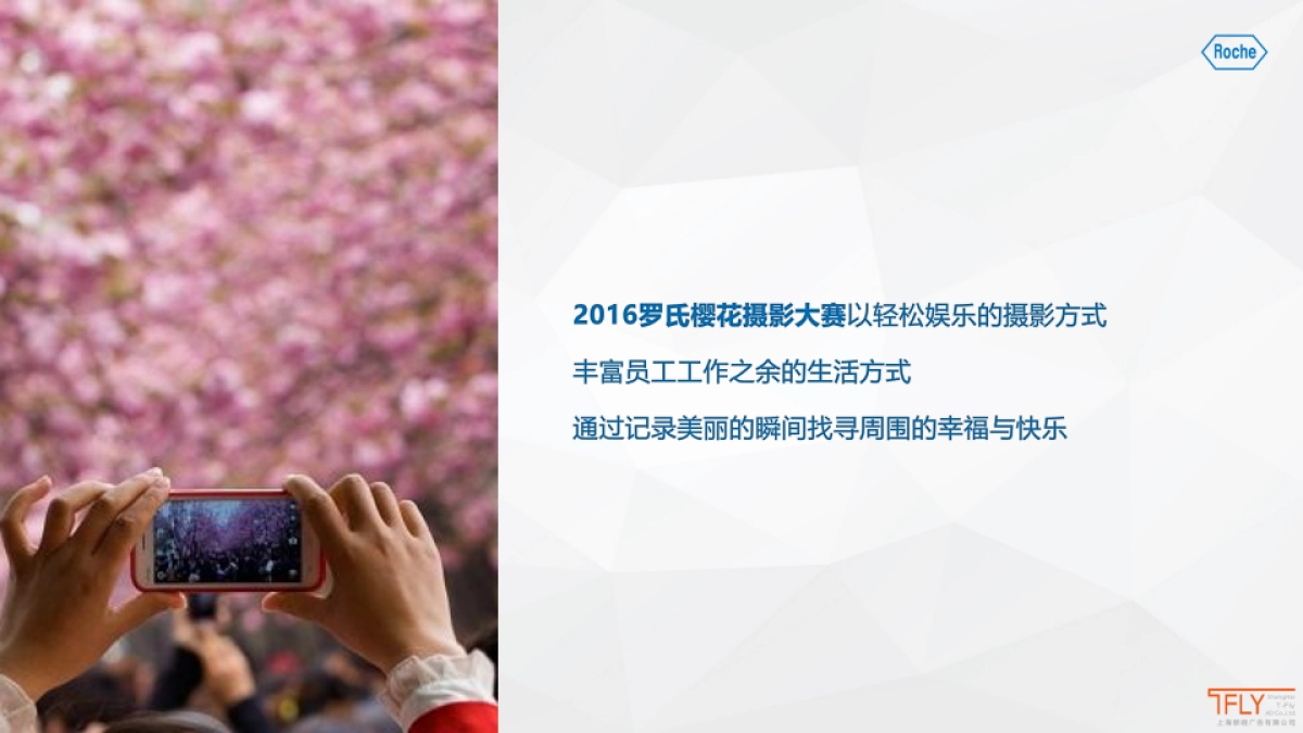 2017 “最美罗氏”随手拍摄影大赛设计策划方案_第6页