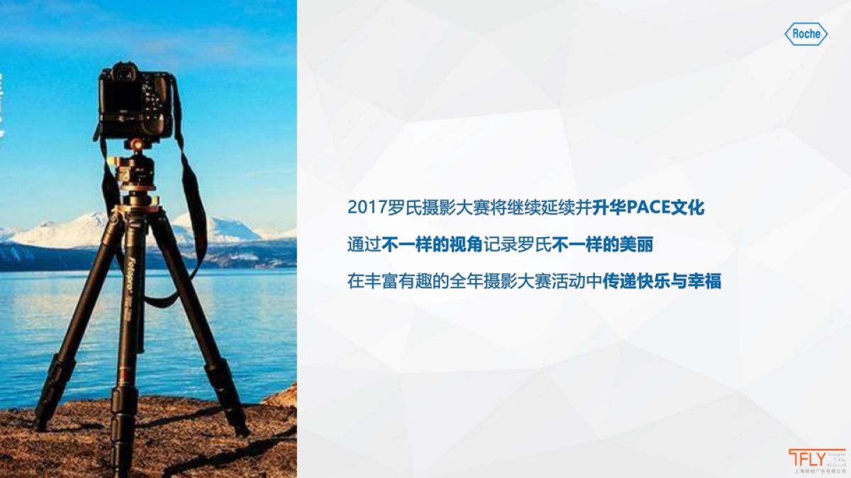 2017 “最美罗氏”随手拍摄影大赛设计策划方案_第8页