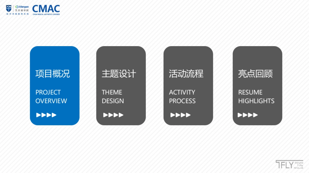 2017艾尔建医疗美容峰会设计策划方案_第2页