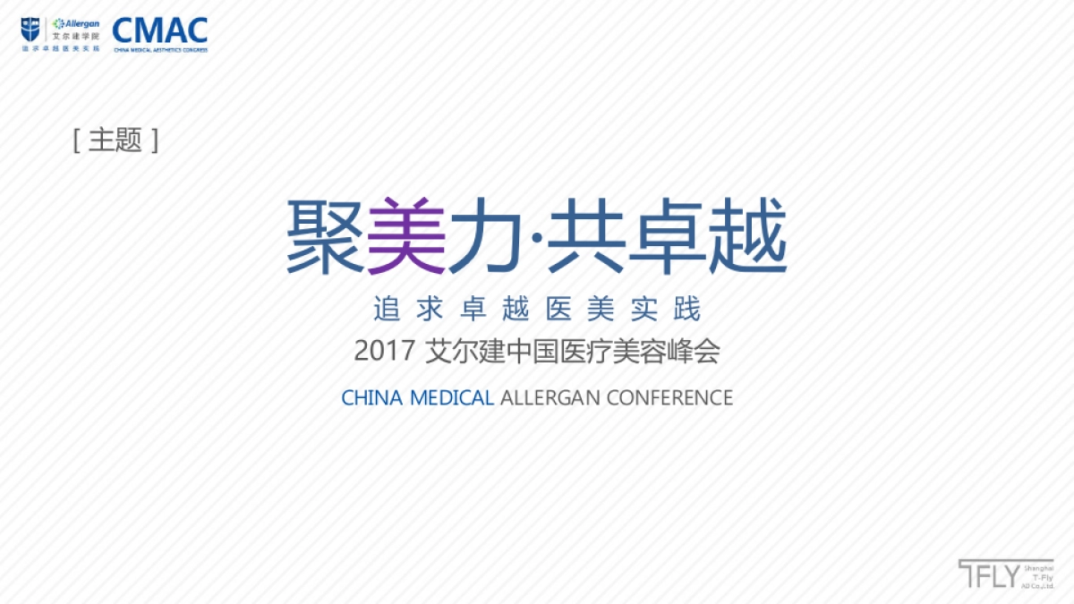 2017艾尔建医疗美容峰会设计策划方案_第8页