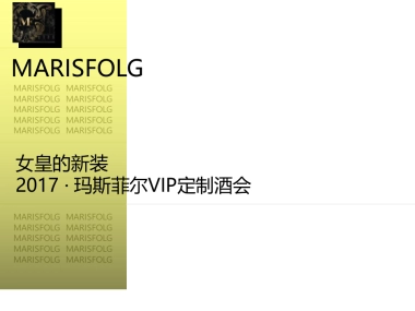 2017玛斯菲尔VIP订制酒会策划简案