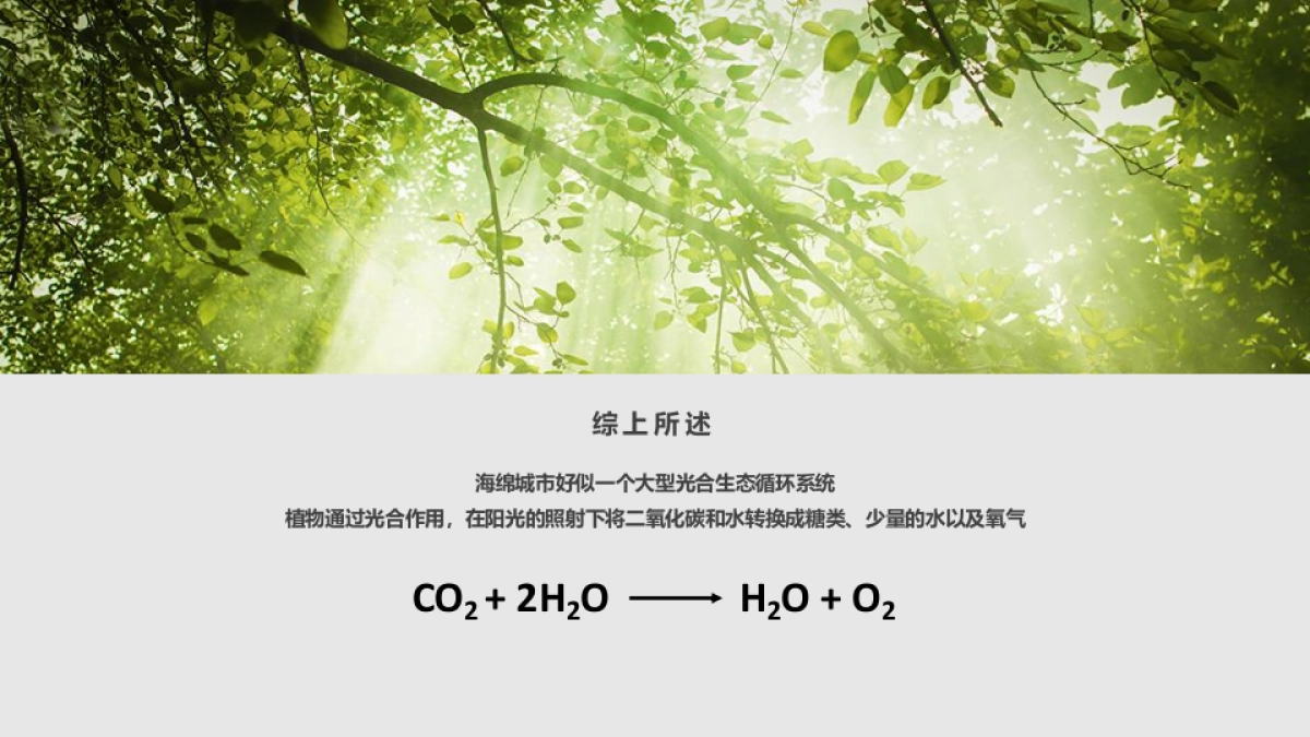 2019中新生态城logo征集活动策划方案_第9页