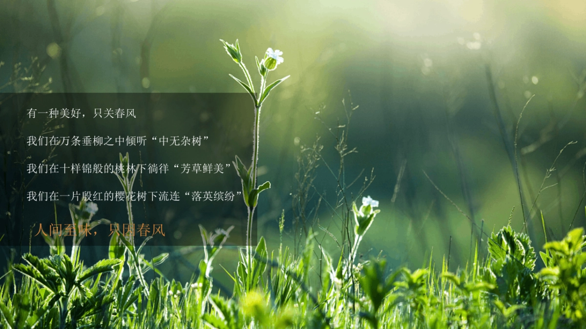 2021地产项目春季氛围包装及月度暖场“春暖花开·美好相逢”活动策划方案_第3页