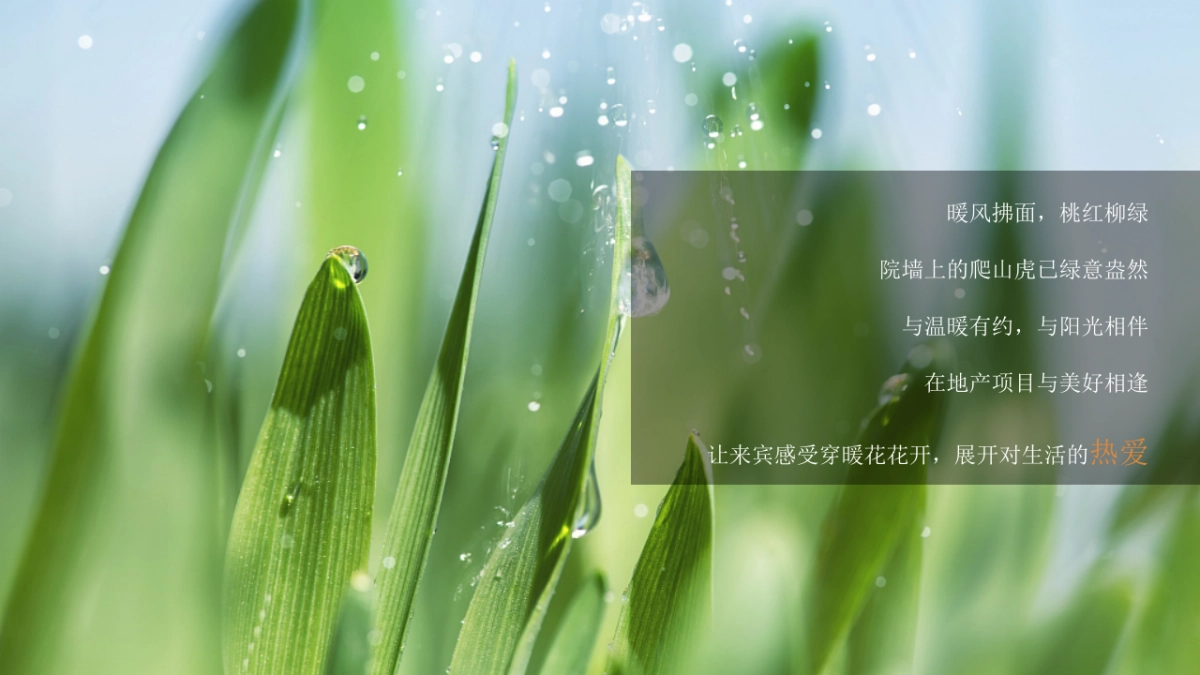 2021地产项目春季氛围包装及月度暖场“春暖花开·美好相逢”活动策划方案_第4页