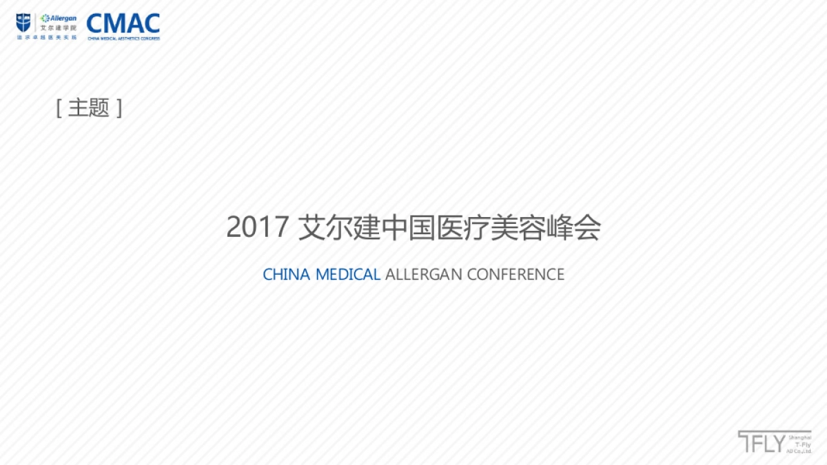 艾尔建医疗美容峰会设计策划方案_第10页