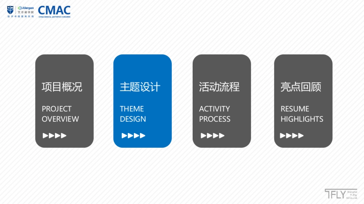 艾尔建医疗美容峰会设计策划方案_第4页