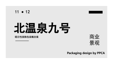 北温泉9号包装美陈案