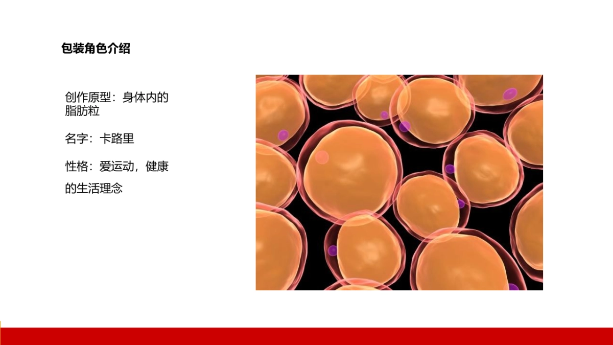 纤生活代餐包设计方案_第10页