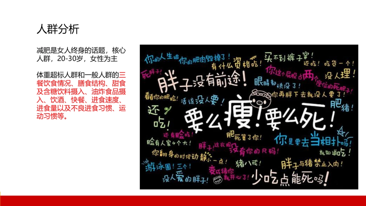 纤生活代餐包设计方案_第5页