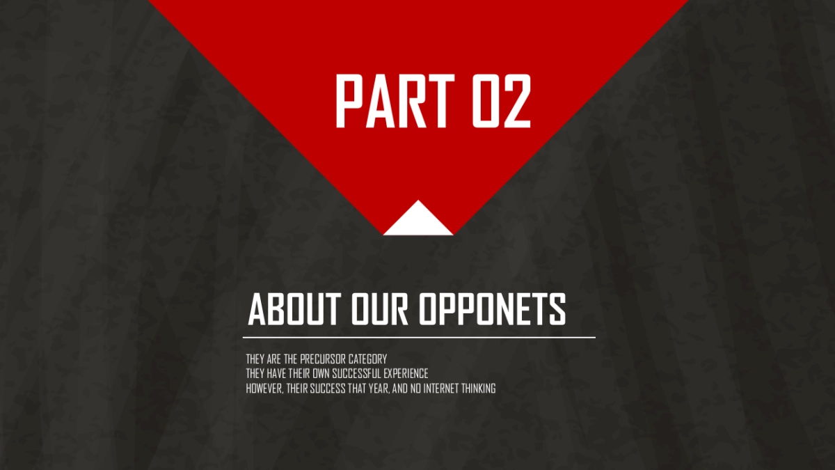 莉莉安的一天粉底包装创意设计_第7页