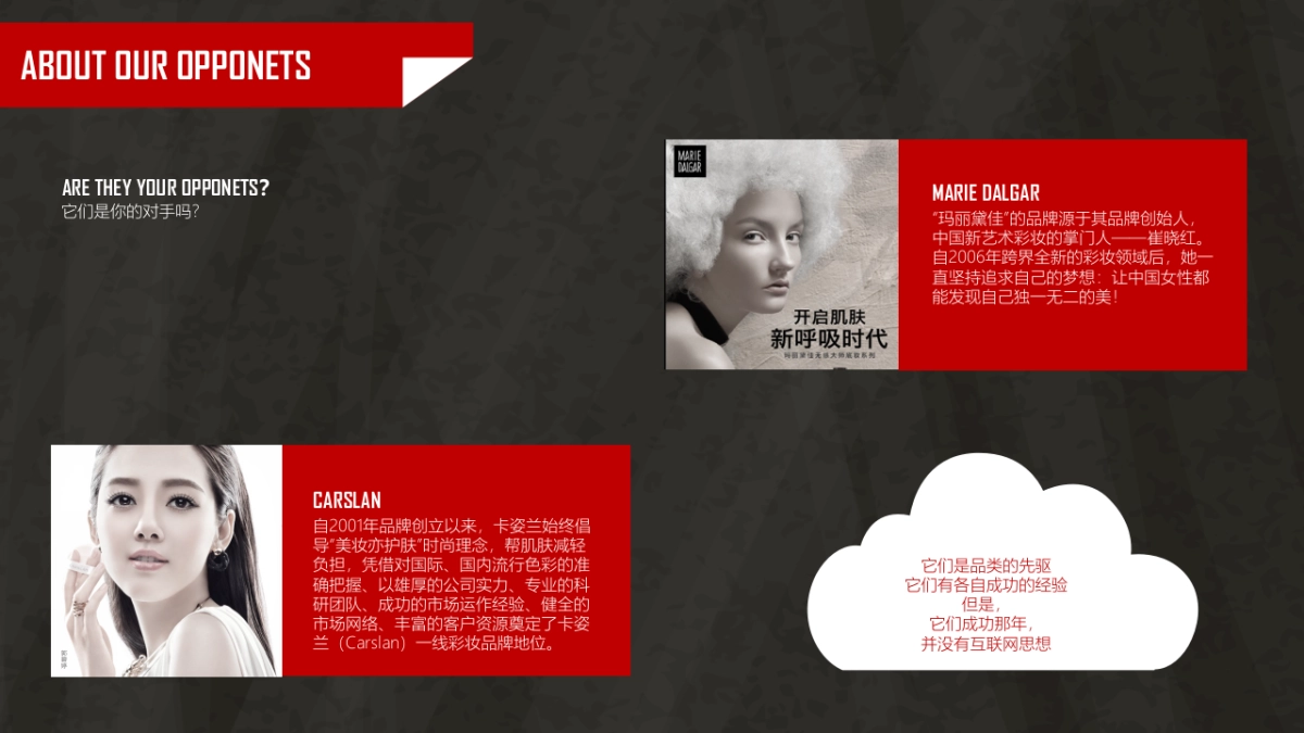 莉莉安的一天粉底包装创意设计_第8页