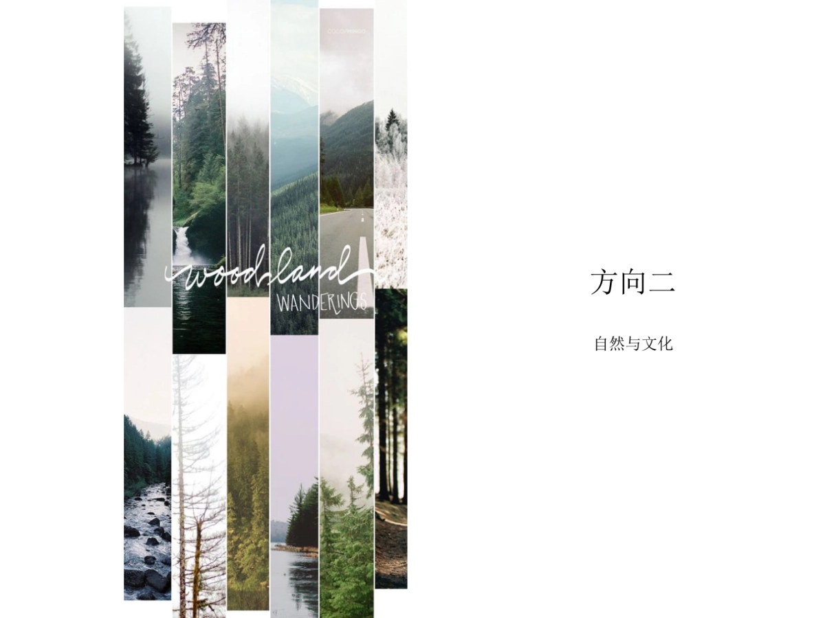 瓶子设计方向_第4页