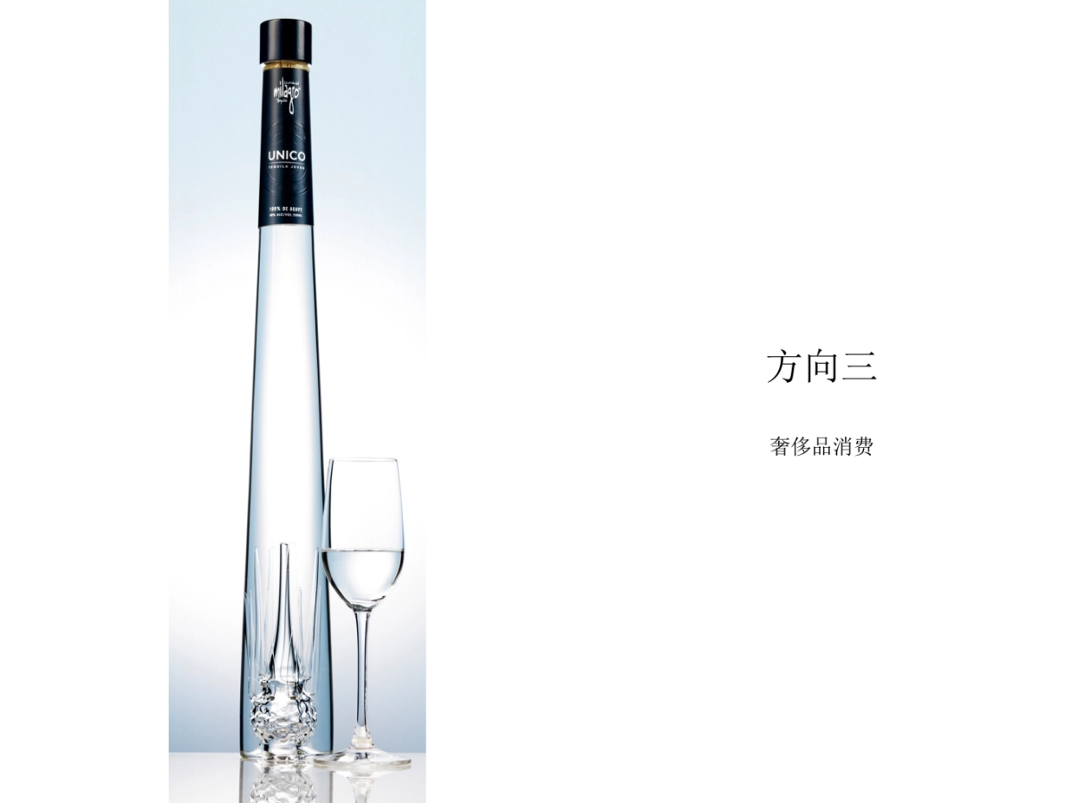 瓶子设计方向_第9页