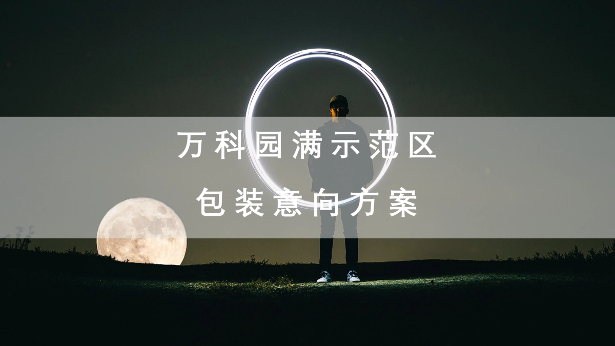 万科示范区包装意向方案