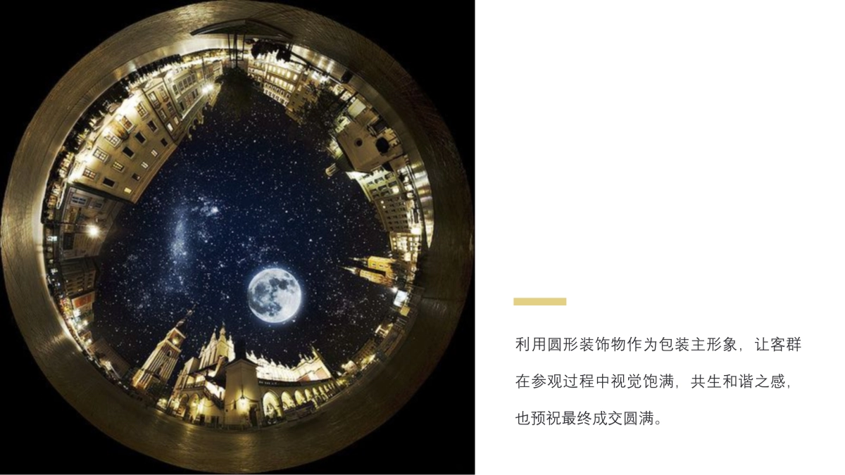 万科示范区包装意向方案_第7页