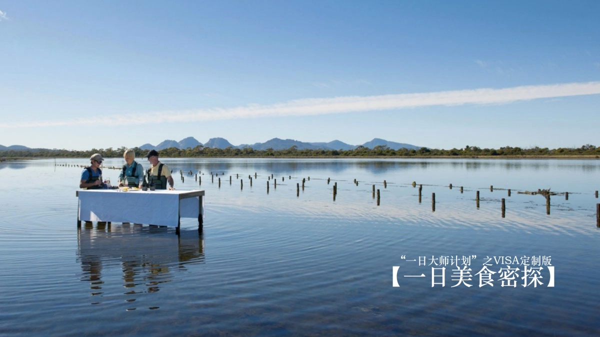 一日大师计划-VISA定制版_第1页