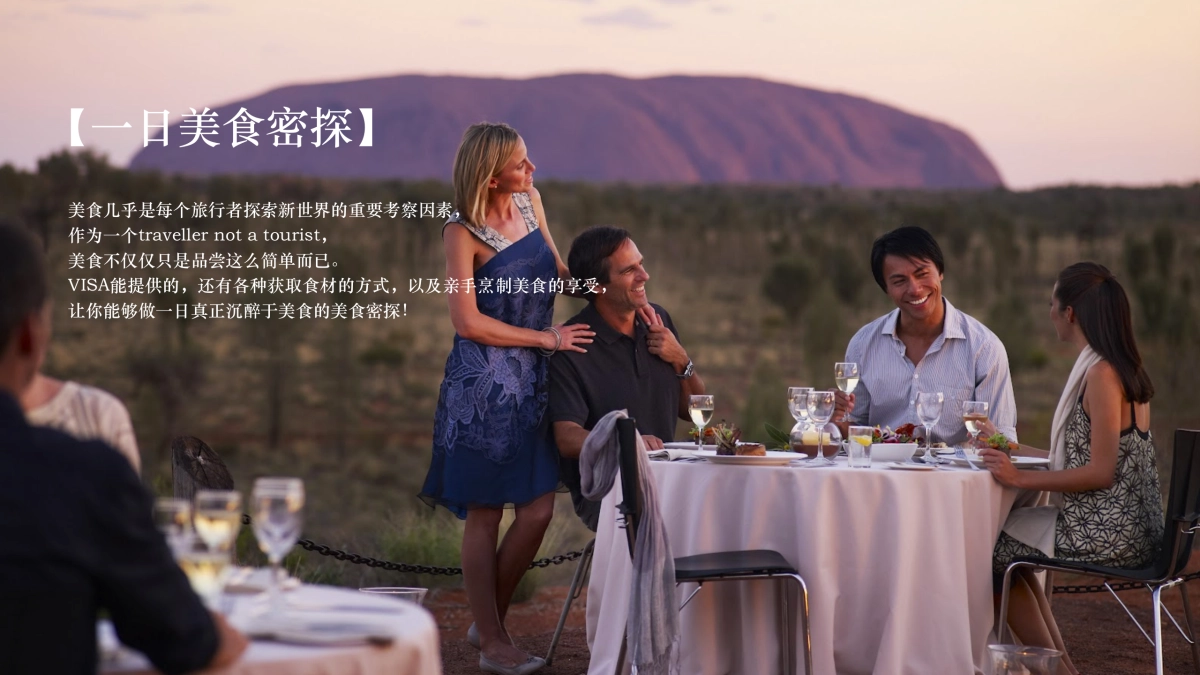 一日大师计划-VISA定制版_第3页