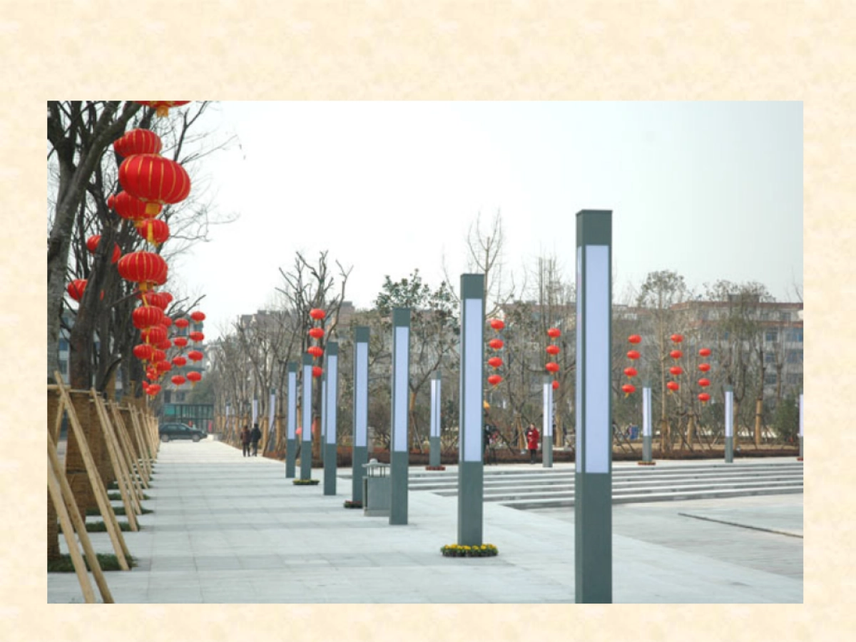 春节现场包装方案_第10页