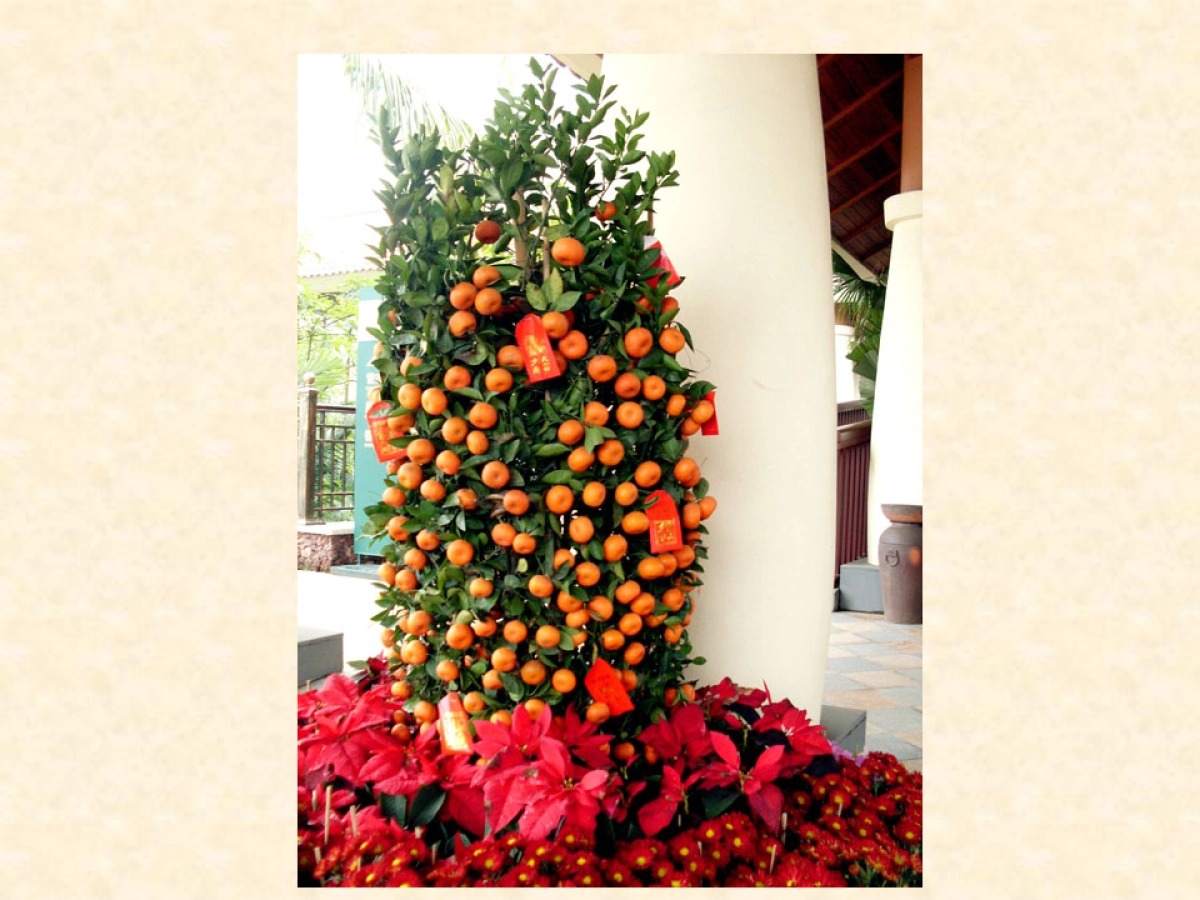 春节现场包装方案_第5页