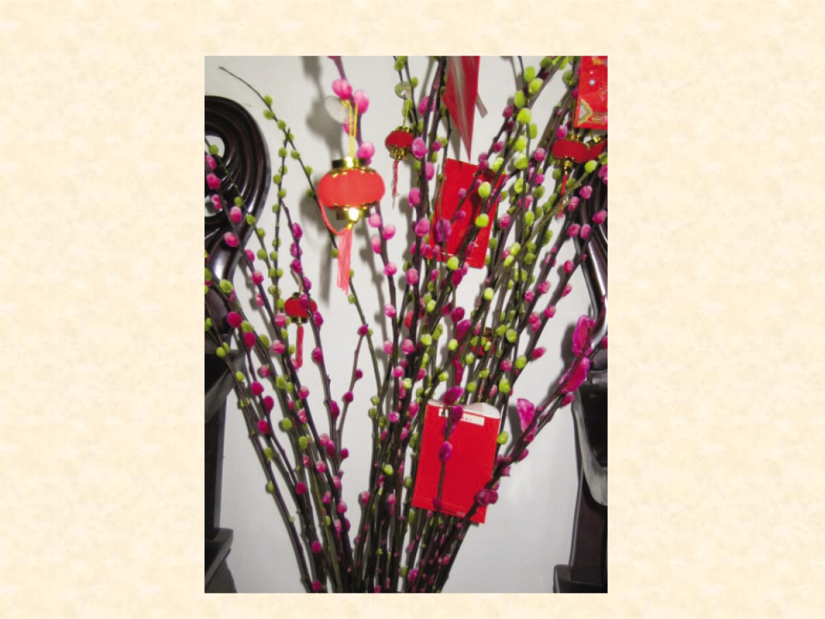 春节现场包装方案_第6页