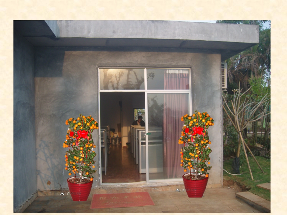 春节现场包装方案_第7页