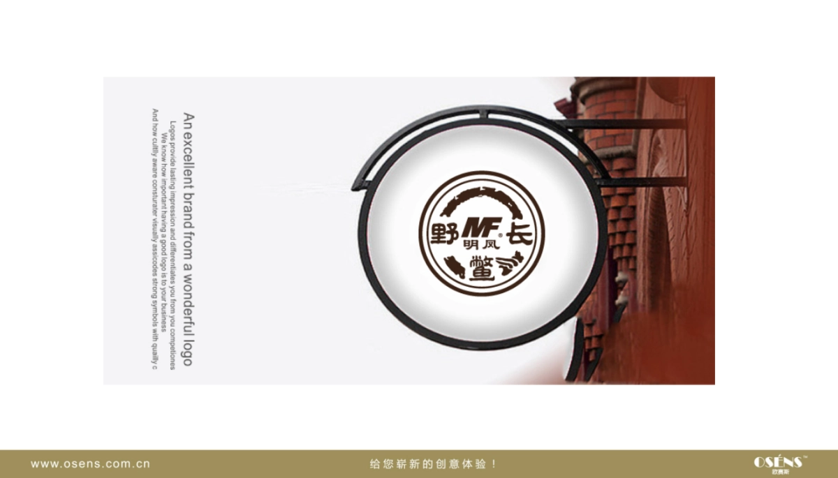 明凤鳖LOGO设计方案_第10页