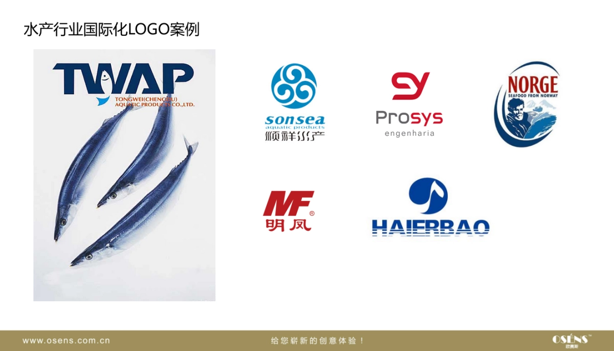 明凤鳖LOGO设计方案_第4页