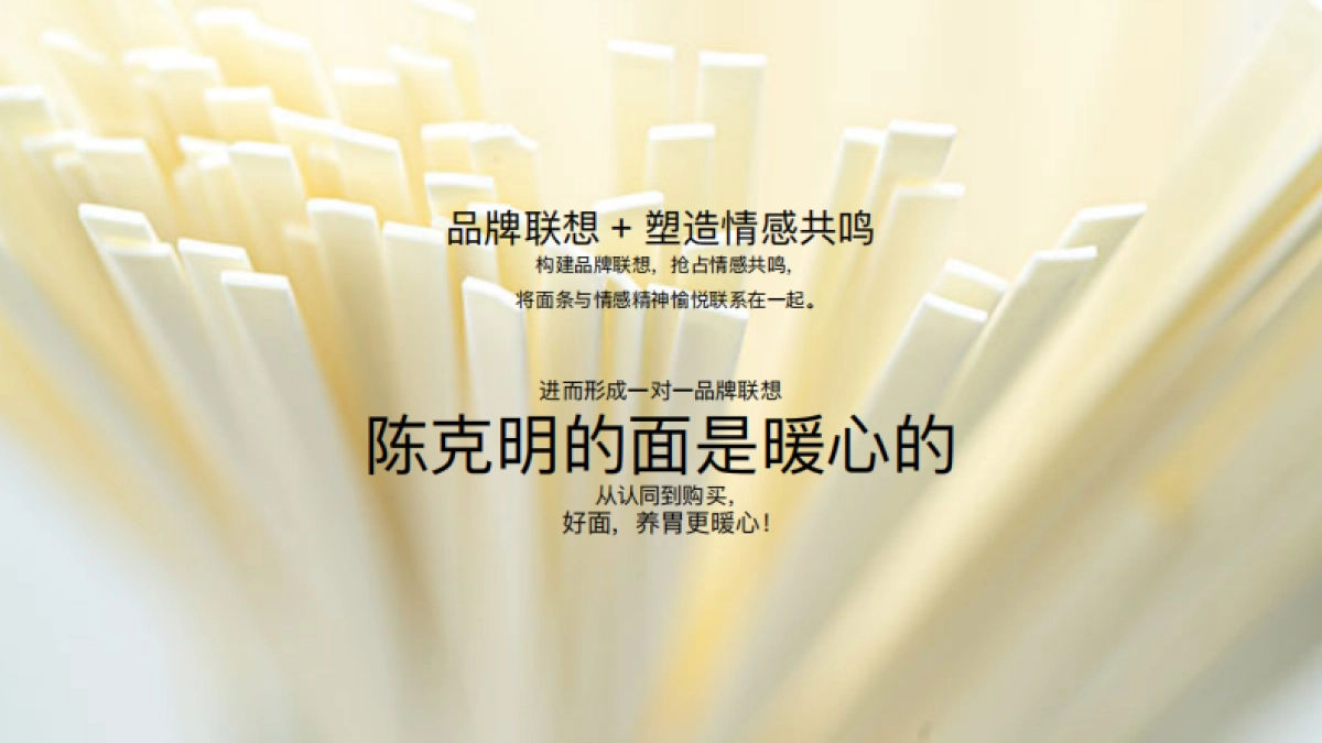 陈克明年整合营销传播方案_第9页