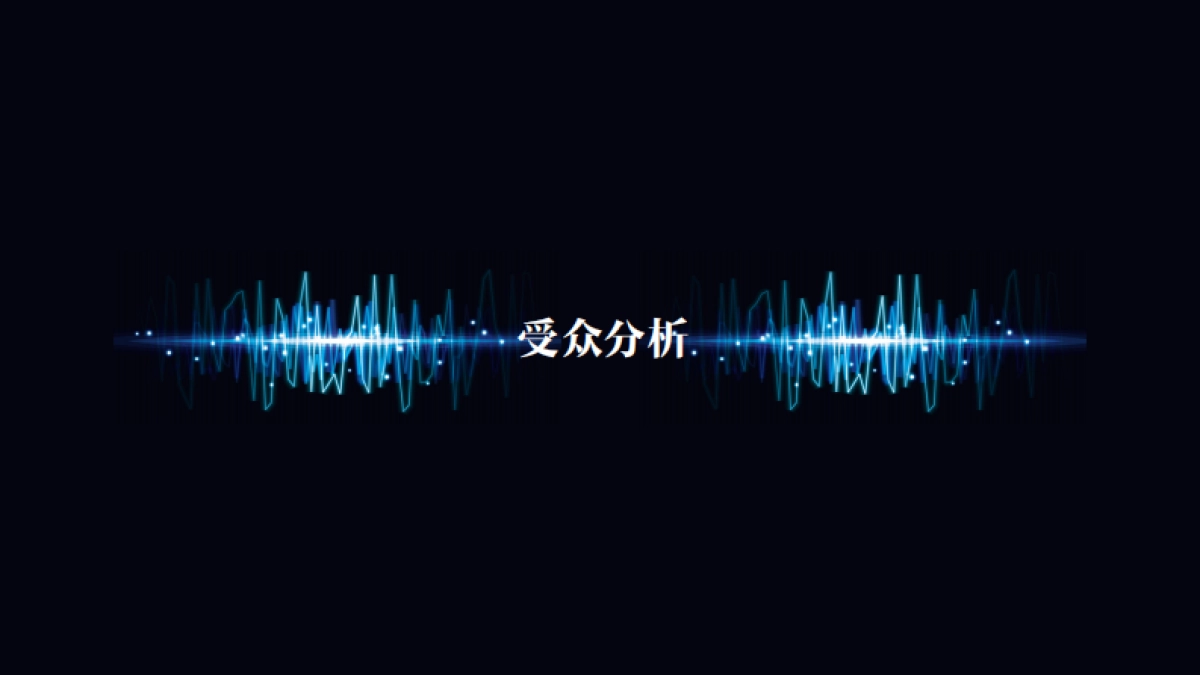 《盖世音雄》推智整合营销方案_第3页