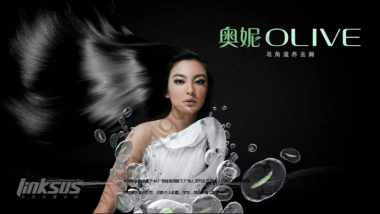 2011奥妮皂角洗发水上市整合营销传播策划方案-100P 