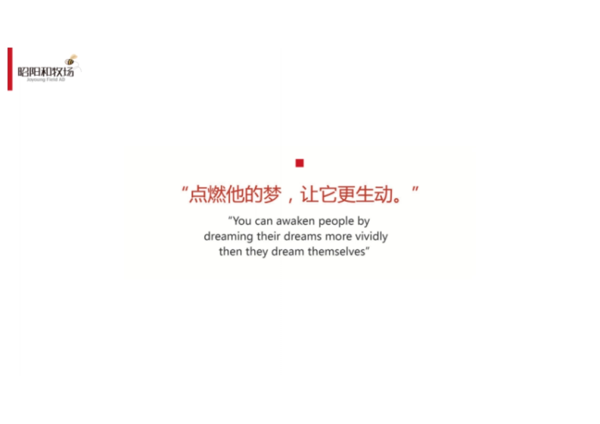 2019中国美林湖双年整合推广策略案_第2页