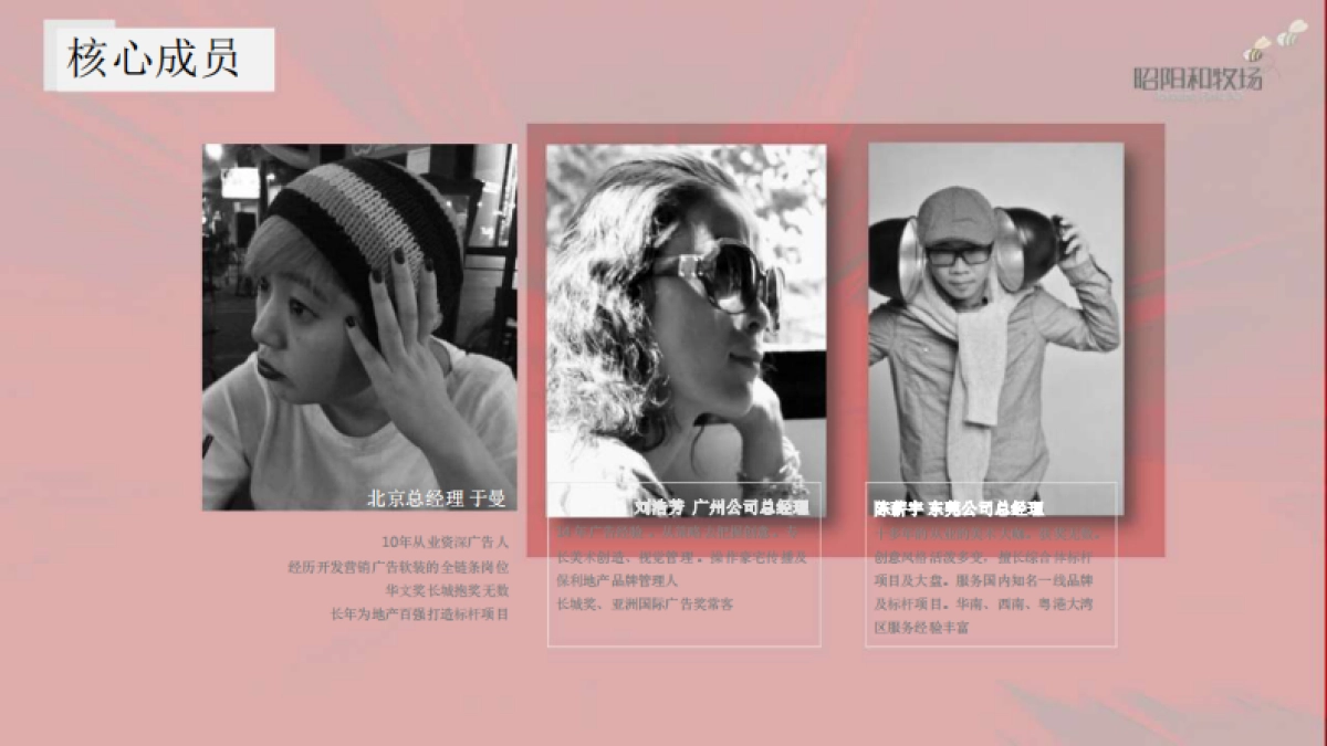 2020广州昭阳和牧场-越秀南沙天际豪邸推广传播整合方案 _第8页