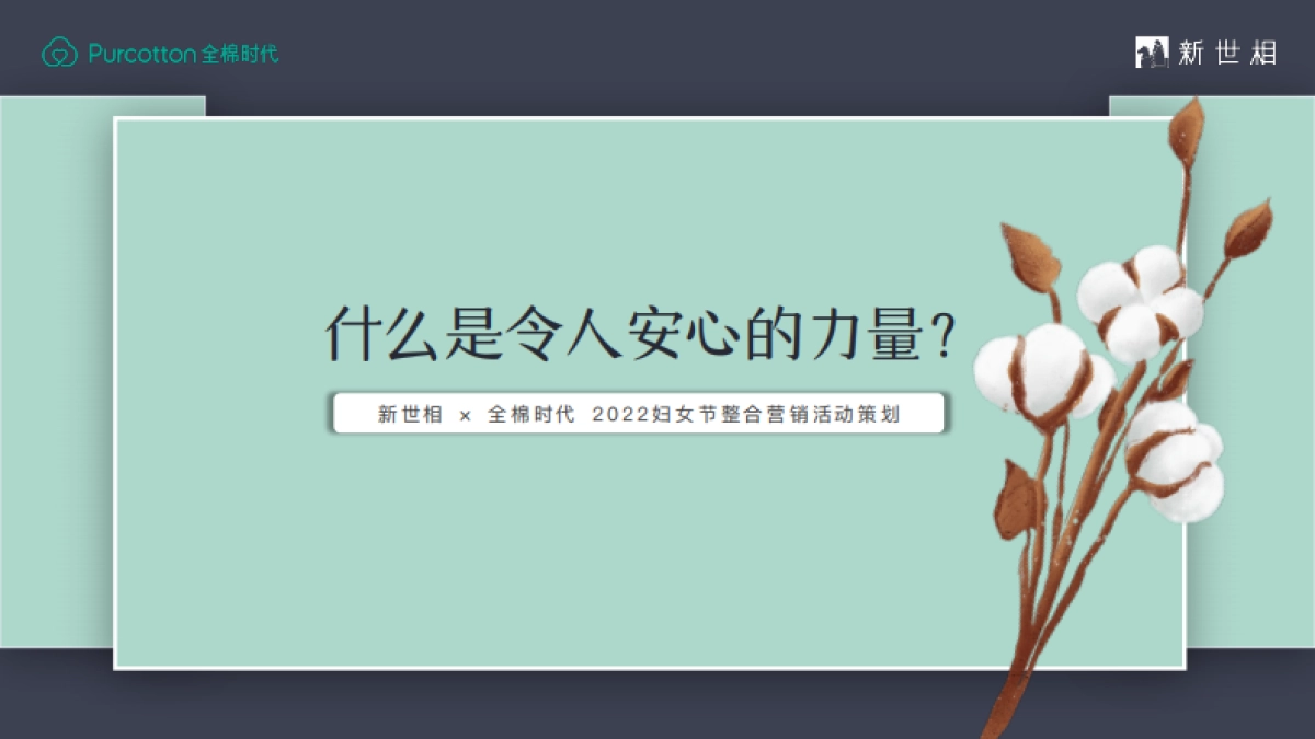 2022全棉时代 x 新世相妇女节整合营销活动策划方案_第1页
