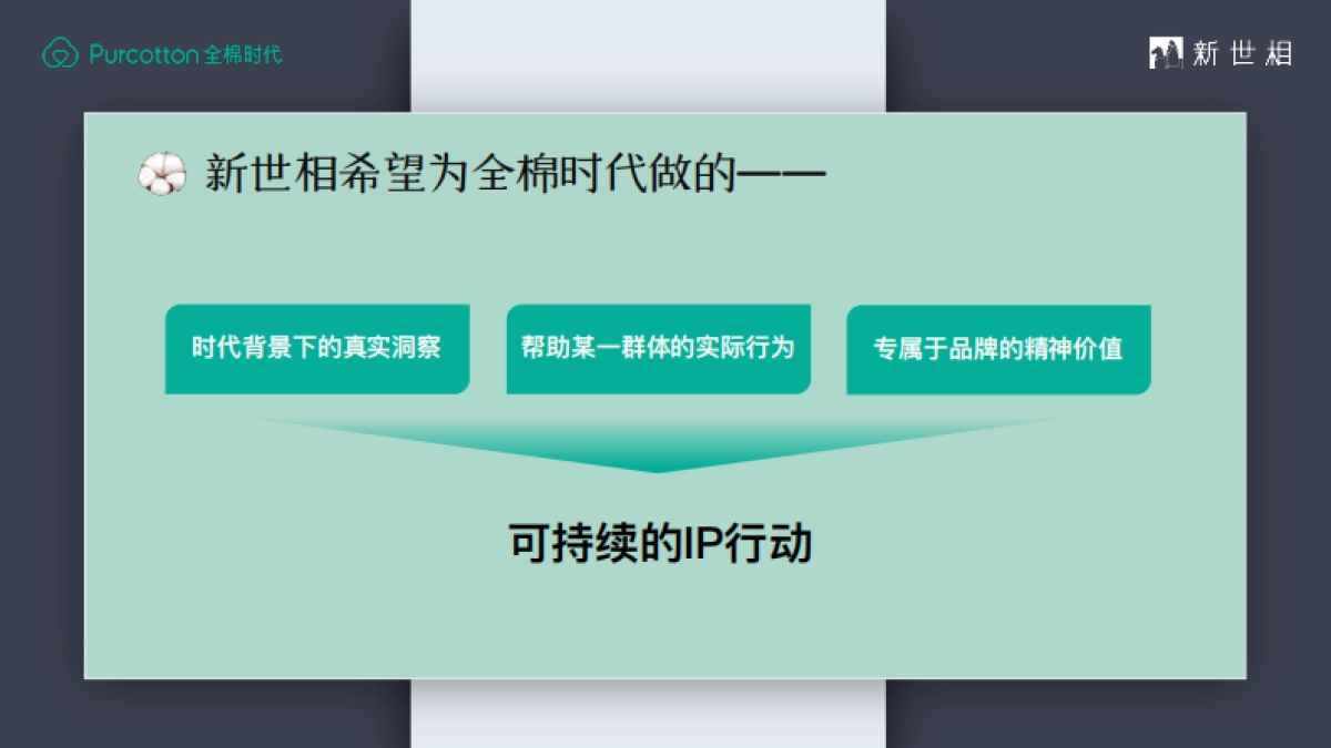 2022全棉时代 x 新世相妇女节整合营销活动策划方案_第10页