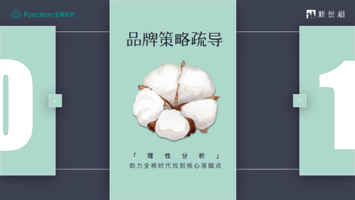 2022全棉时代 x 新世相妇女节整合营销活动策划方案_第4页