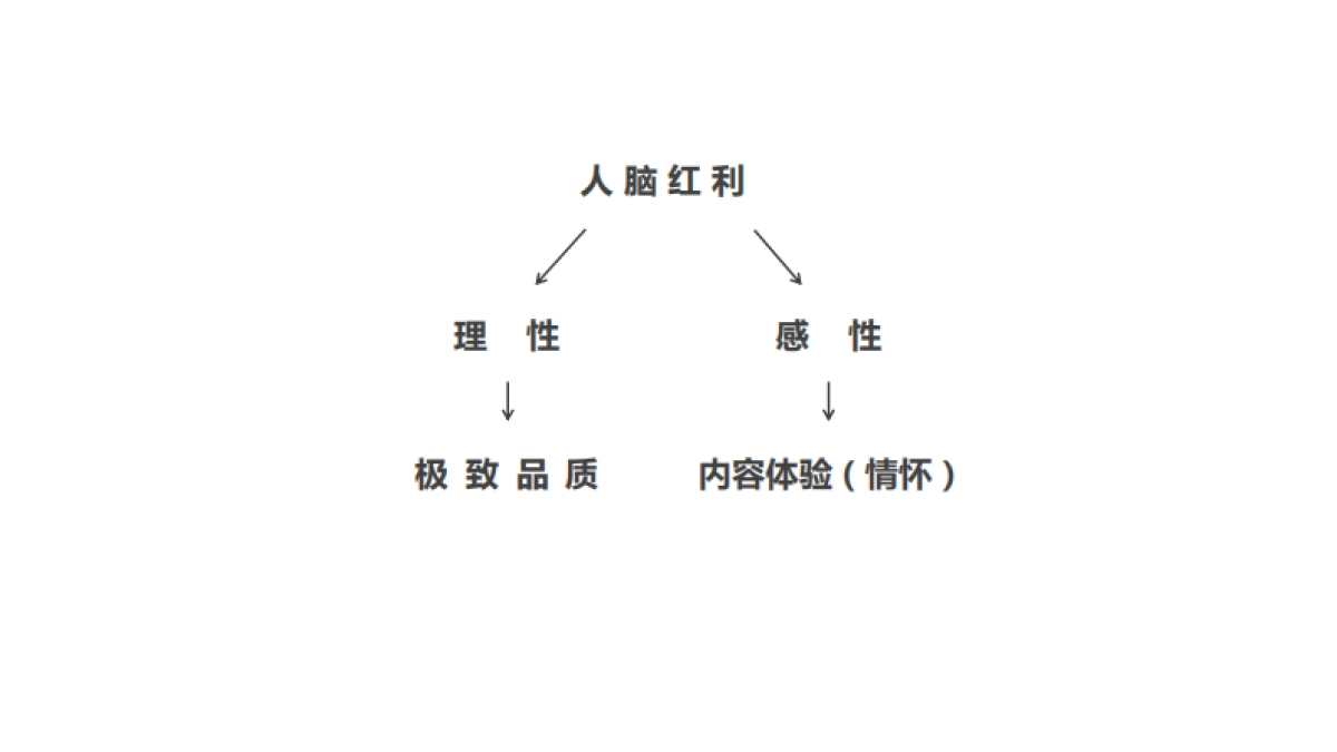 合甲品牌及度假项目整合推广_第10页