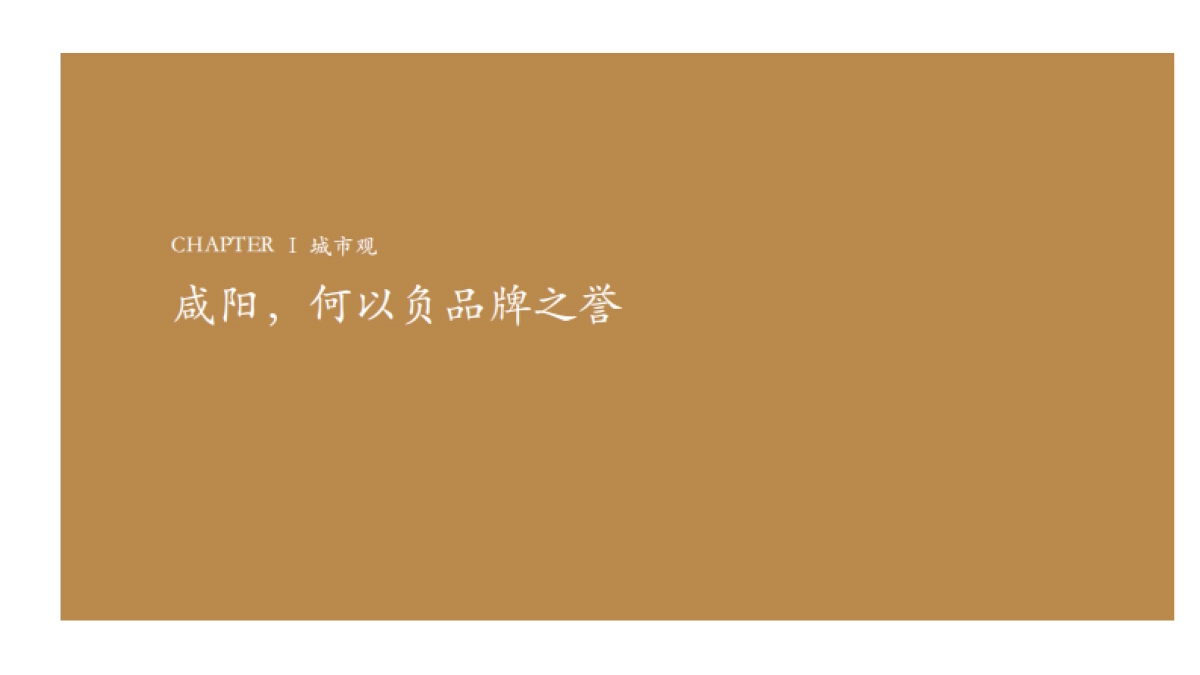 和田机构-奥园枫丹名郡整合推广策略提报_第8页