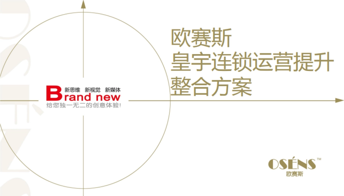 皇宇连锁运营整合营销策划全套方案-奢侈品_第1页