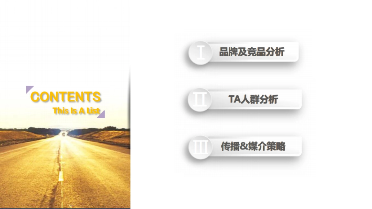 金银猫年度品牌宣传整合营销策划方案_第2页