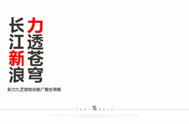 九芝堂地块整合推广策略方案（老城）