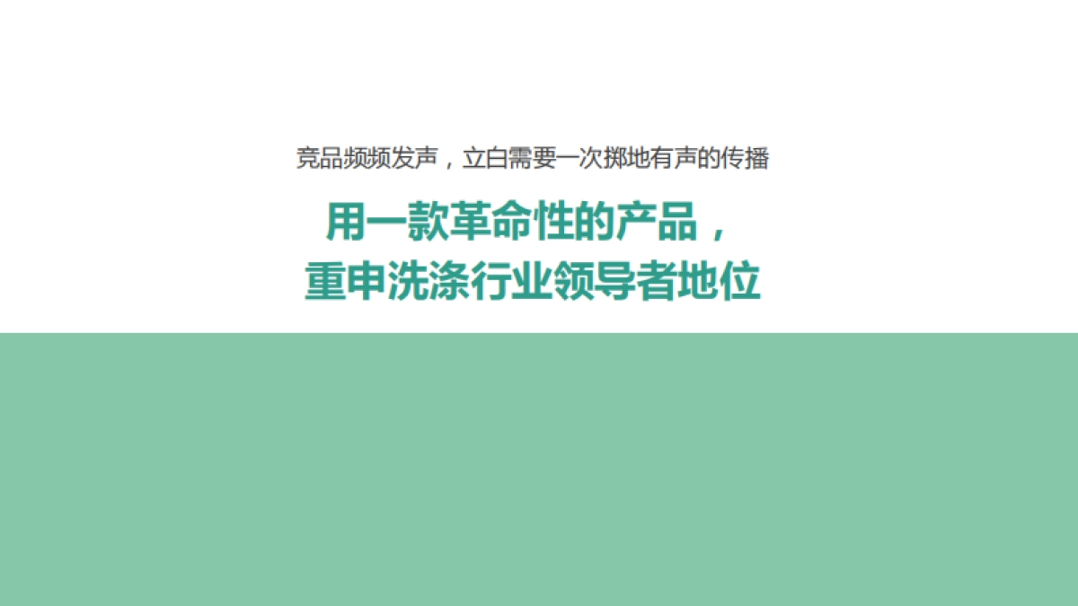 立白年品牌整合传播规划_第2页
