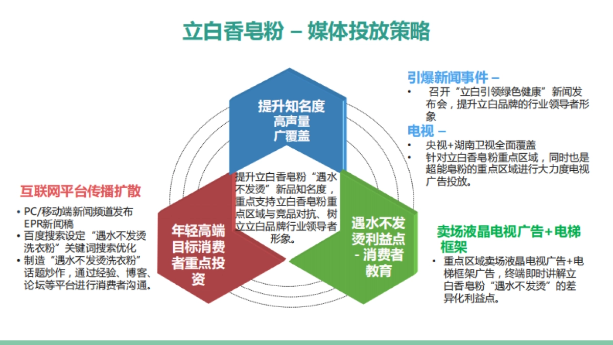 立白年品牌整合传播规划_第5页